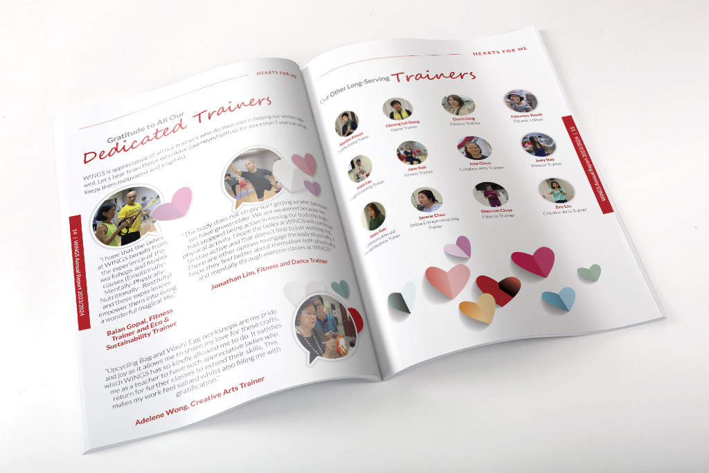 Wings annual report design